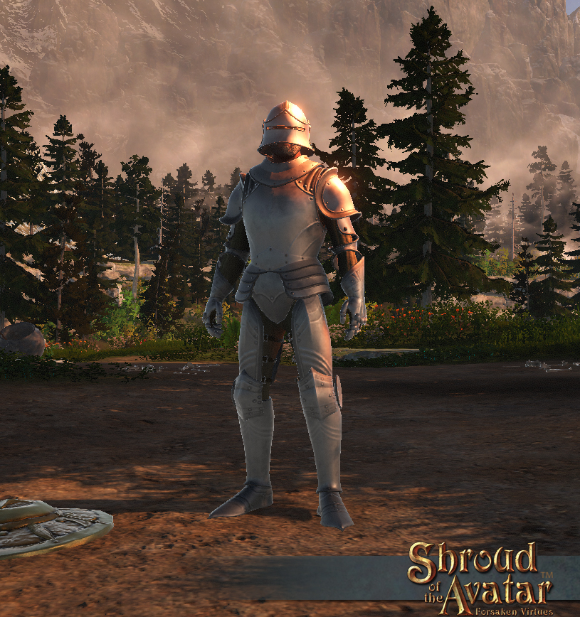 SS Store Armor HeavyPlate A.jpg