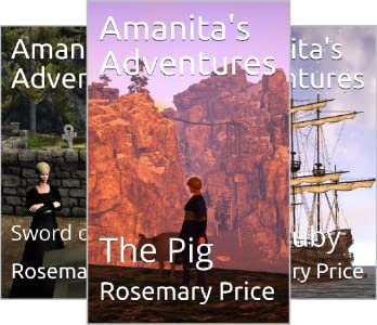 B1SoA6a612S SY300 .png