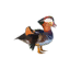 Mandarin Duck icon.png
