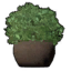 Potted Azalea Bush icon.png