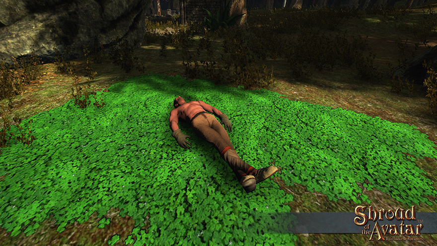 Item clover pavers.jpg