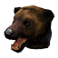 Bear Head icon.png