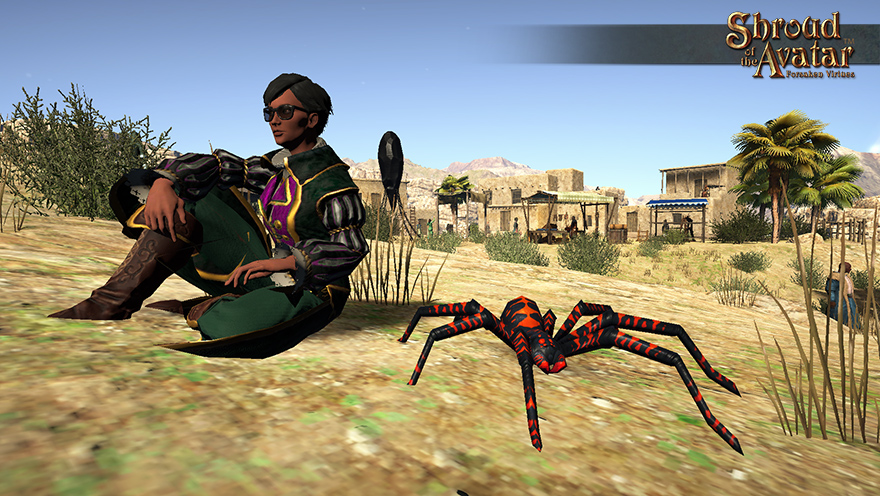 Item baby black orange spider pet.jpg