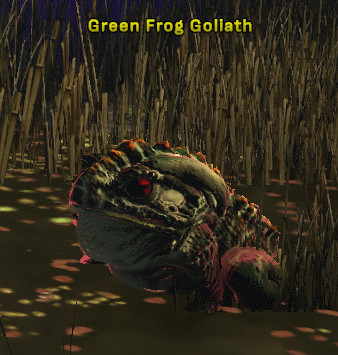 File:Green Frog Goliath.jpg
