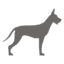 Ghost Dog icon.png