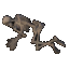 Fetal Skeleton icon.png