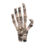 SotA Trophy Hand.png