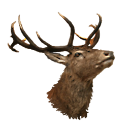 File:Stag Head.png