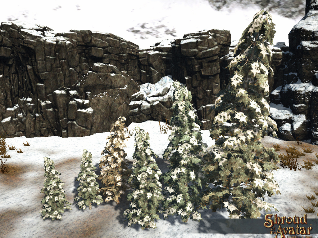 SS 4Starr SnowySpruceTree 6Pack B.jpg