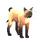 Siamese Cat icon.png