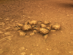 Salt Resource Node.png