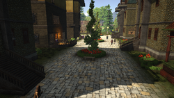 Boutique Gallery.png