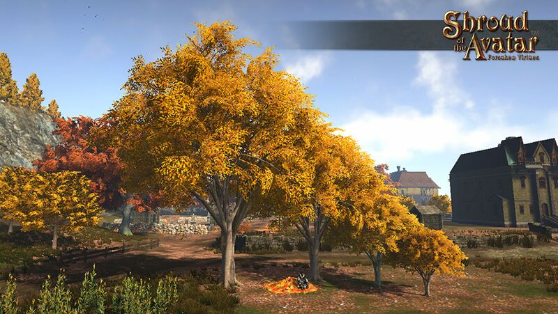 Item fall elm tree 6pack.jpg