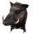 Boar Headdress icon.png
