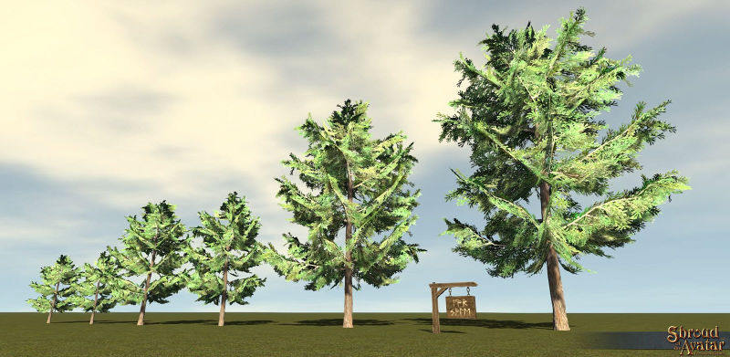 File:SotA Tree YellowCedar 6Pack.jpg