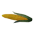 Corn icon.png