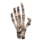 Hand