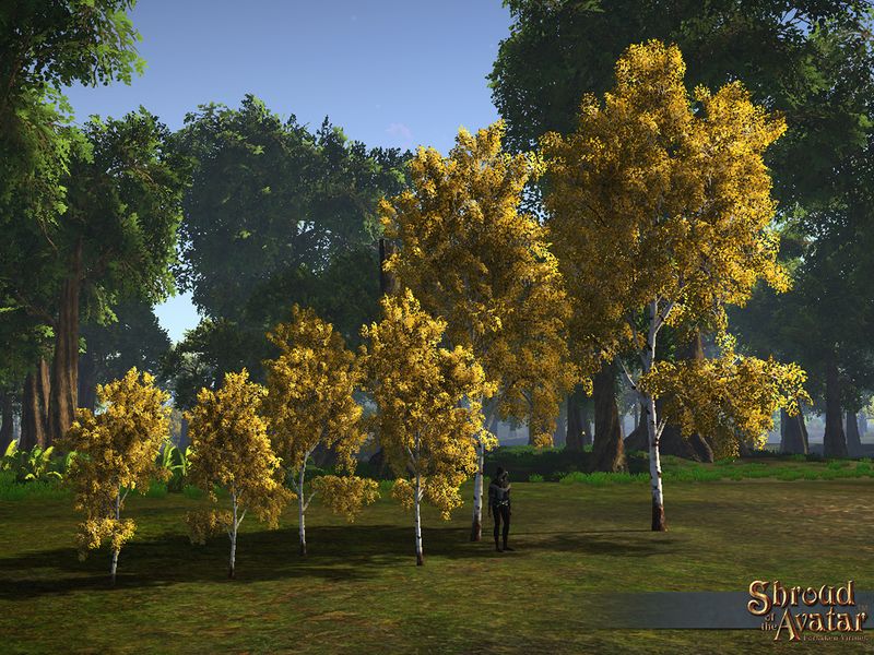 File:SS 4Starr FallBirchTrees 6Pack A.jpg