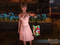 SS 4Elg VaultR71Round1 StainedGlassHandLantern A.jpg