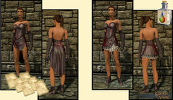 SotA Satin Bodice Bundle small1 pattern v2.jpg