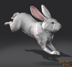 SotA EasterBunny.jpg