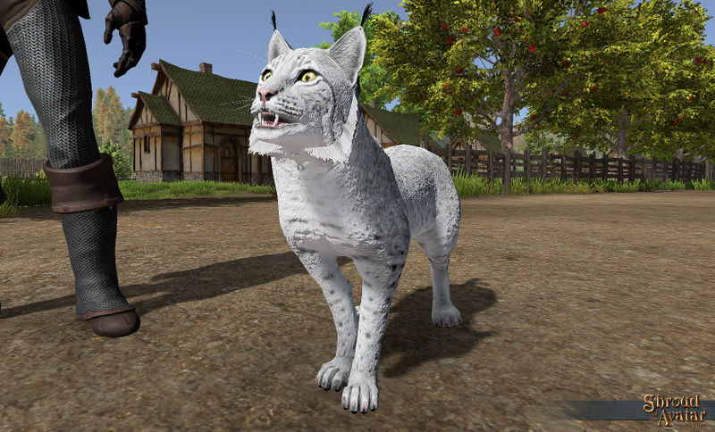 File:SotA Winter Lynx Pet view1.jpg
