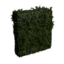 Tall Medium Hedge.png