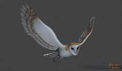 SotA Founder Citizen Owl Pet.jpg