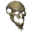 Lich Skull