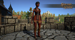 Sota short assassins armor.jpg