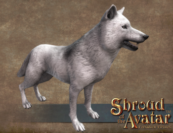 Arctic Wolf.png
