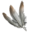 Bundle of Feathers