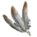 Bundle of Feathers
