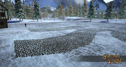 CobblestoneRoadwayPavers closeup.jpg