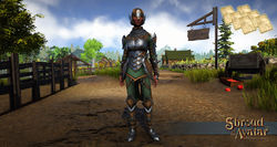 Elven elite fighter armor front pattern v2.jpg