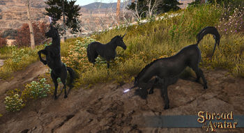 SS Creatures Unicorns Black C.jpg