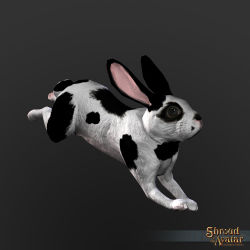 SotA SpottedRabbit 2015.jpg