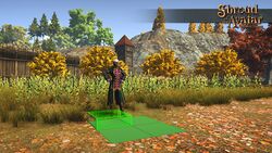 Item small planting area.jpg