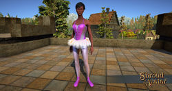 SotA BalletOutfit.jpg