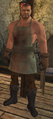 Innkeeper Flynn.png