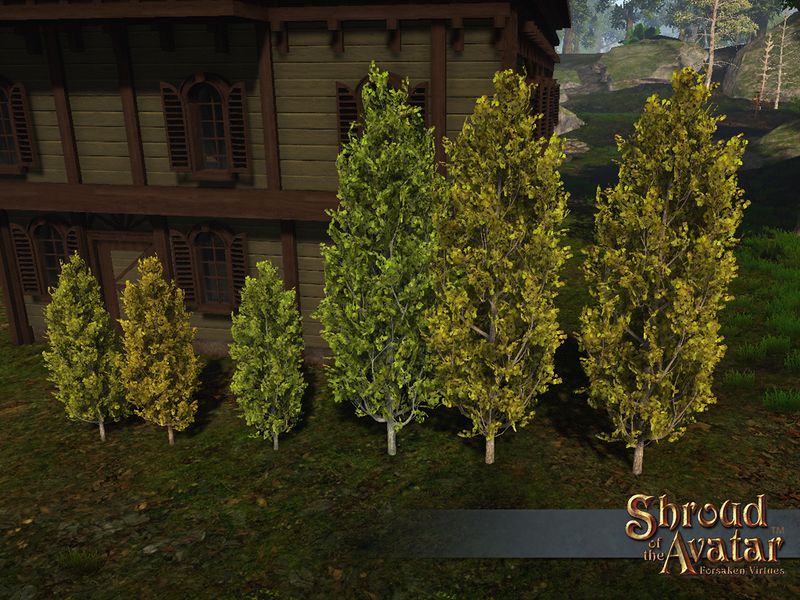 File:SS Store CypressTrees.jpg