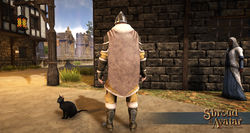 Sota-viking-guard-armor-back.jpg