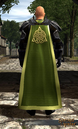 SotA StretchGoal Elves Cloak.jpg