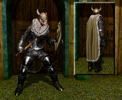 SotA Viking Helm Cloak composite.jpg