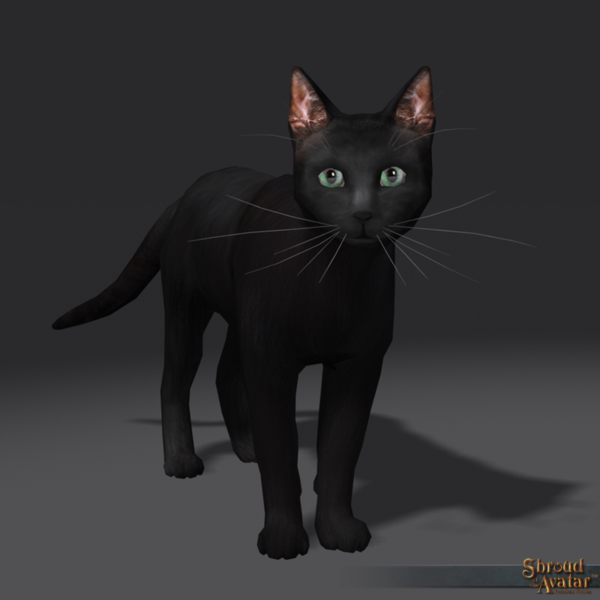 File:SotA Black Cat Pet.png