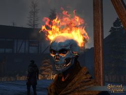 SS 4Starr FlamingSkullHelm A.jpg