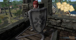 SotA DS Shield pattern.jpg