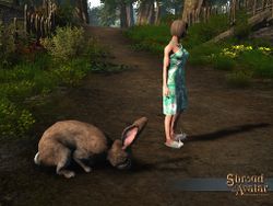 SS 4Elg Reward giantBrownBunny A.jpg