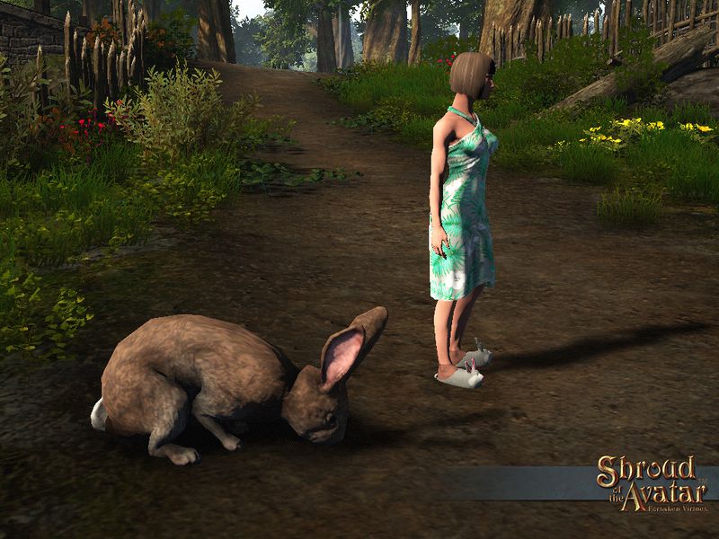 File:SS 4Elg Reward giantBrownBunny A.jpg
