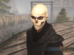 SS 4Starr SkullMask A.jpg